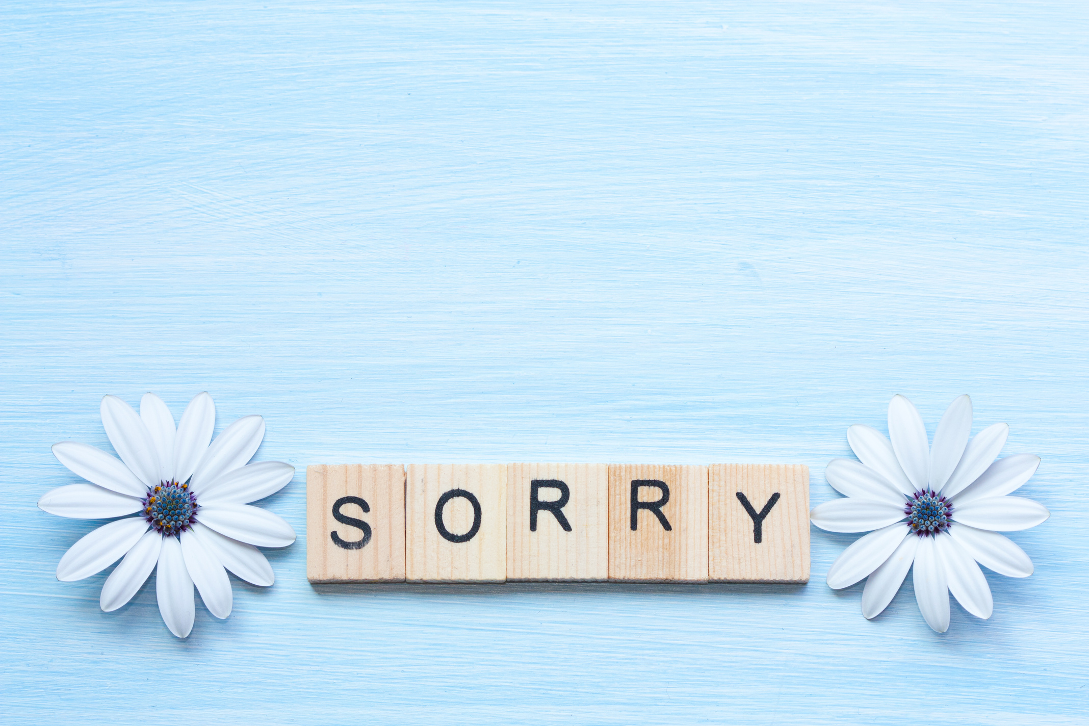 Word sorry and flowers on blue background.