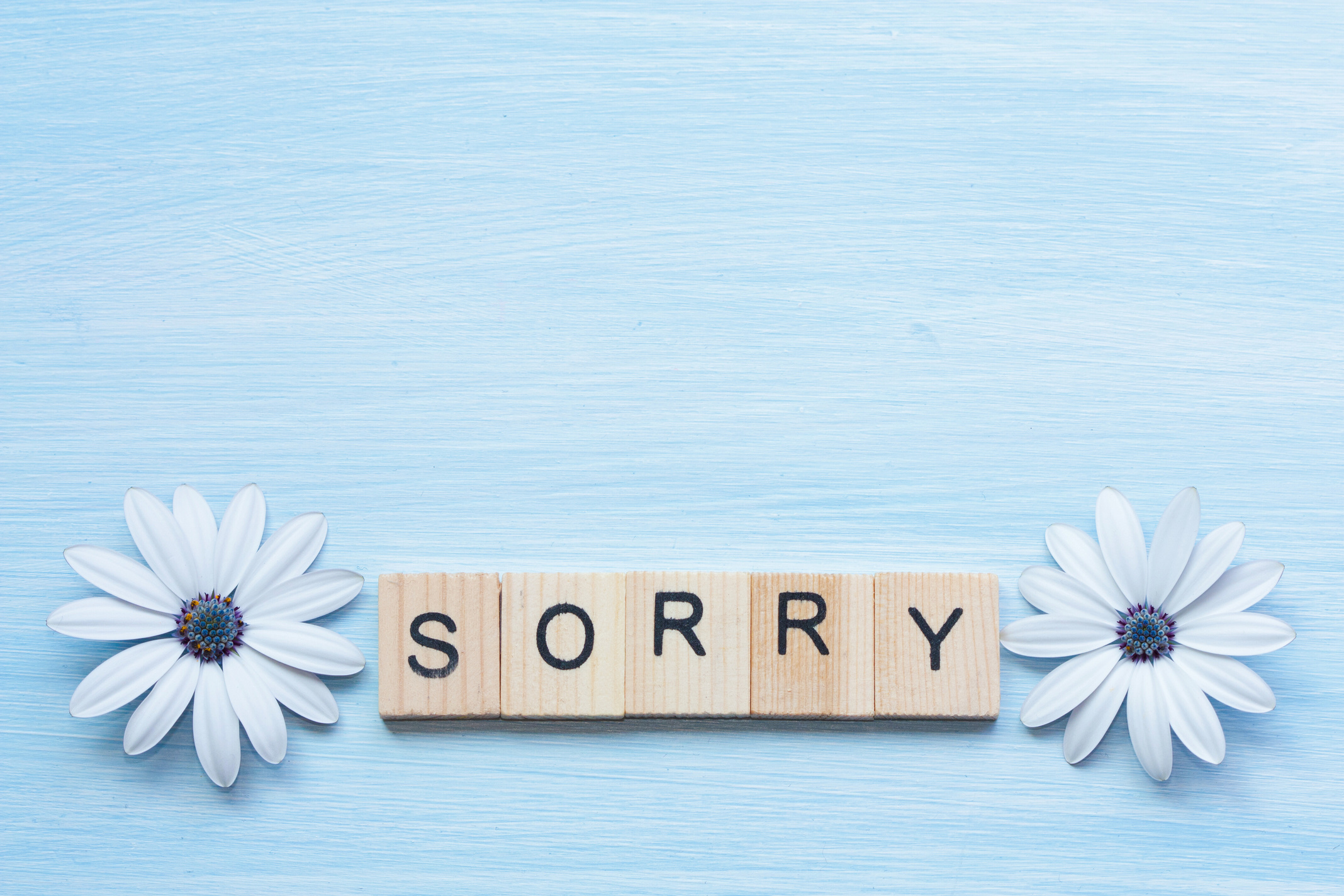 Word sorry and flowers on blue background.